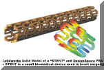 SolidModel-Stents.jpg (199157 bytes)